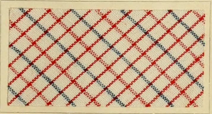An illustration from The coal tar colours of Farbwerke vorm. Meister Lucius & Brüning : Hoechst on Main : and their application in dyeing cotton and other vegetable fibres, 1907, leaf 88
