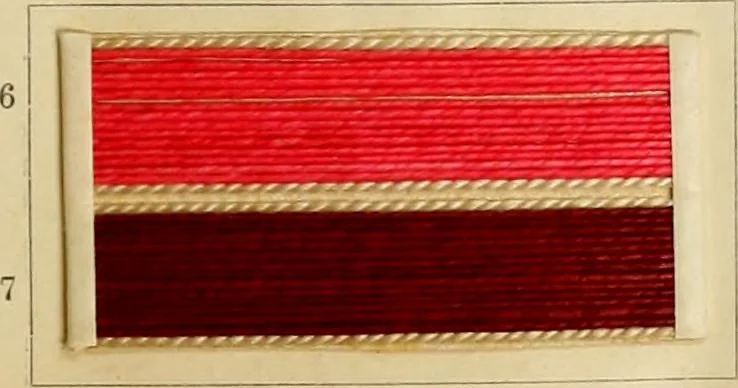 An illustration from The coal tar colours of Farbwerke vorm. Meister Lucius & Brüning : Hoechst on Main : and their application in dyeing cotton and other vegetable fibres, 1907, leaf 92