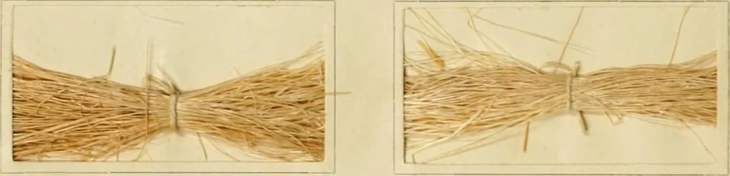 An illustration from The coal tar colours of Farbwerke vorm. Meister Lucius & Brüning : Hoechst on Main : and their application in dyeing cotton and other vegetable fibres, 1907, leaf 97