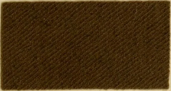 An illustration from The coal tar colours of Farbwerke vorm. Meister Lucius & Brüning, Hoechst on Main, Germany and their application in wool dyeing, 1910, leaf 124