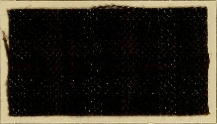 An illustration from The coal tar colours of Farbwerke vorm. Meister Lucius & Brüning, Hoechst on Main, Germany and their application in wool dyeing, 1910, leaf 136
