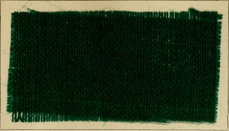 An illustration from The coal tar colours of Farbwerke vorm. Meister Lucius & Brüning, Hoechst on Main, Germany and their application in wool dyeing, 1910, leaf 144