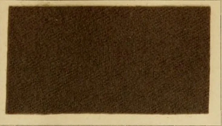 An illustration from The coal tar colours of Farbwerke vorm. Meister Lucius & Brüning, Hoechst on Main, Germany and their application in wool dyeing, 1910, leaf 150