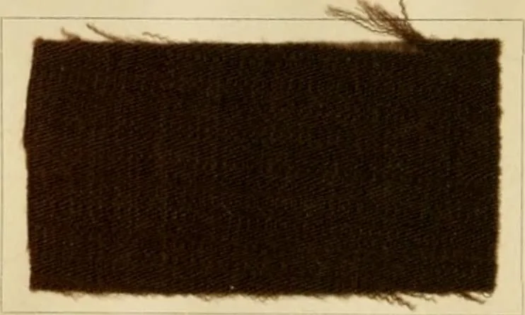 An illustration from The coal tar colours of Farbwerke vorm. Meister Lucius & Brüning, Hoechst on Main, Germany and their application in wool dyeing, 1910, leaf 153