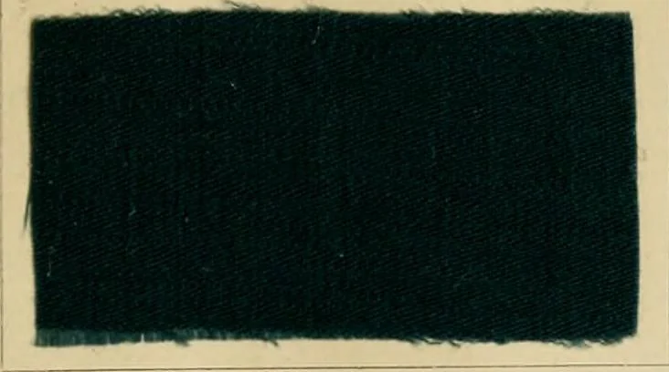 An illustration from The coal tar colours of Farbwerke vorm. Meister Lucius & Brüning, Hoechst on Main, Germany and their application in wool dyeing, 1910, leaf 154