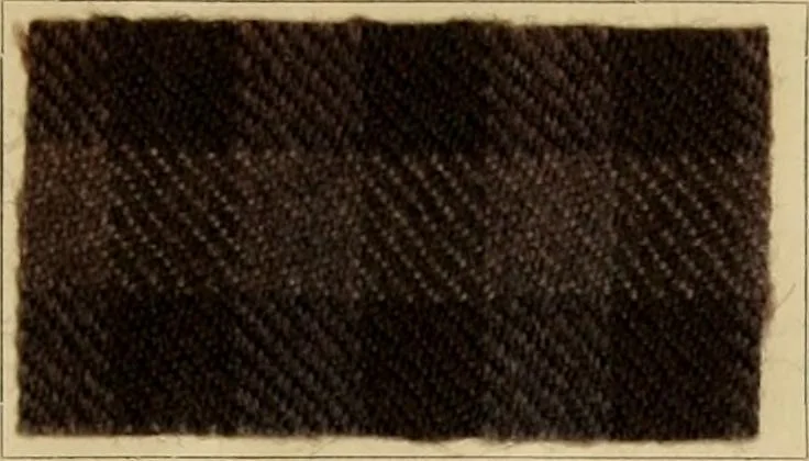 An illustration from The coal tar colours of Farbwerke vorm. Meister Lucius & Brüning, Hoechst on Main, Germany and their application in wool dyeing, 1910, leaf 162