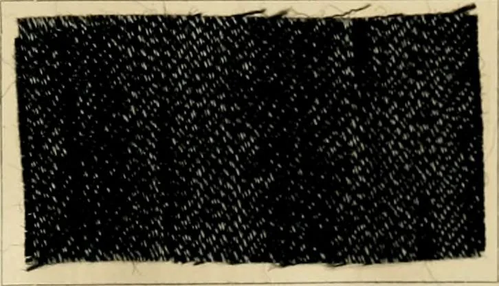 An illustration from The coal tar colours of Farbwerke vorm. Meister Lucius & Brüning, Hoechst on Main, Germany and their application in wool dyeing, 1910, leaf 162