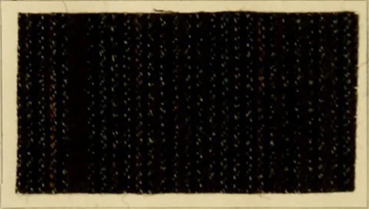 An illustration from The coal tar colours of Farbwerke vorm. Meister Lucius & Brüning, Hoechst on Main, Germany and their application in wool dyeing, 1910, leaf 169