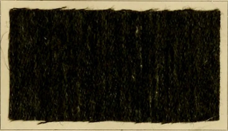An illustration from The coal tar colours of Farbwerke vorm. Meister Lucius & Brüning, Hoechst on Main, Germany and their application in wool dyeing, 1910, leaf 170