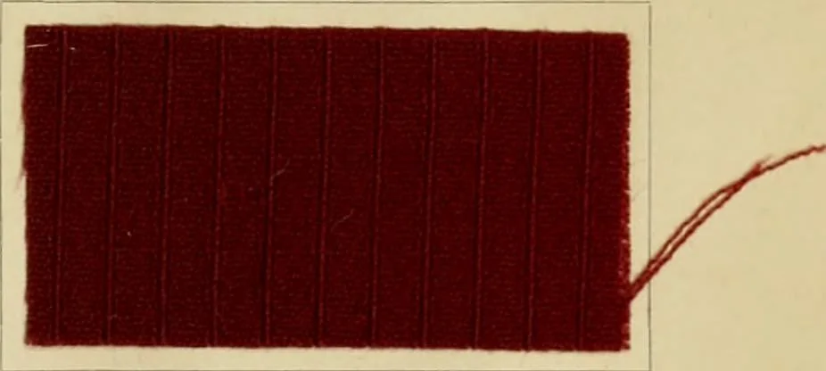 An illustration from The coal tar colours of Farbwerke vorm. Meister Lucius & Brüning, Hoechst on Main, Germany and their application in wool dyeing, 1910, leaf 172