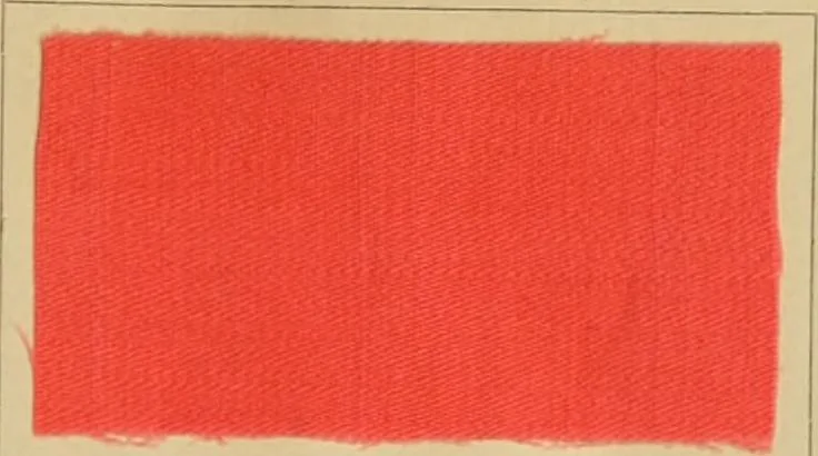 An illustration from The coal tar colours of Farbwerke vorm. Meister Lucius & Brüning, Hoechst on Main, Germany and their application in wool dyeing, 1910, leaf 174