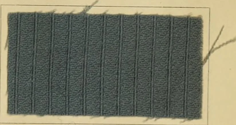 An illustration from The coal tar colours of Farbwerke vorm. Meister Lucius & Brüning, Hoechst on Main, Germany and their application in wool dyeing, 1910, leaf 174