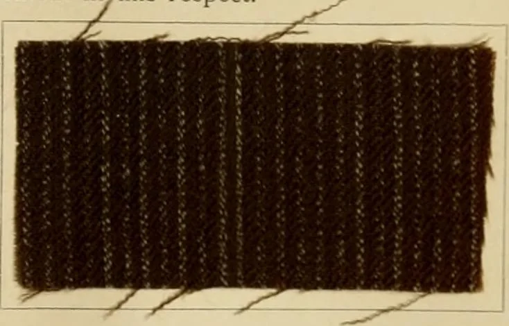 An illustration from The coal tar colours of Farbwerke vorm. Meister Lucius & Brüning, Hoechst on Main, Germany and their application in wool dyeing, 1910, leaf 174