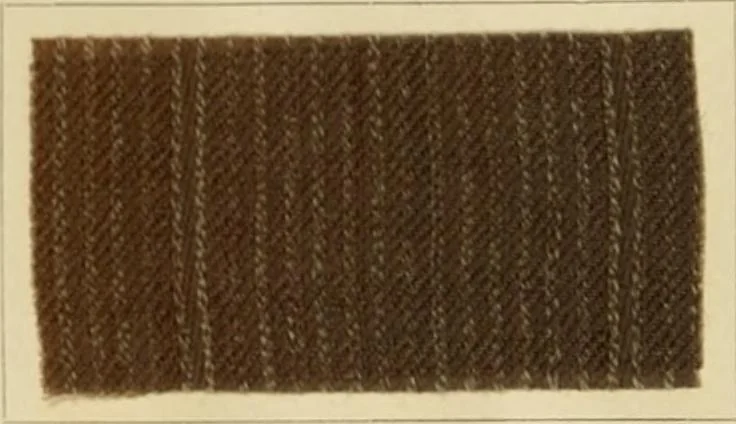 An illustration from The coal tar colours of Farbwerke vorm. Meister Lucius & Brüning, Hoechst on Main, Germany and their application in wool dyeing, 1910, leaf 175