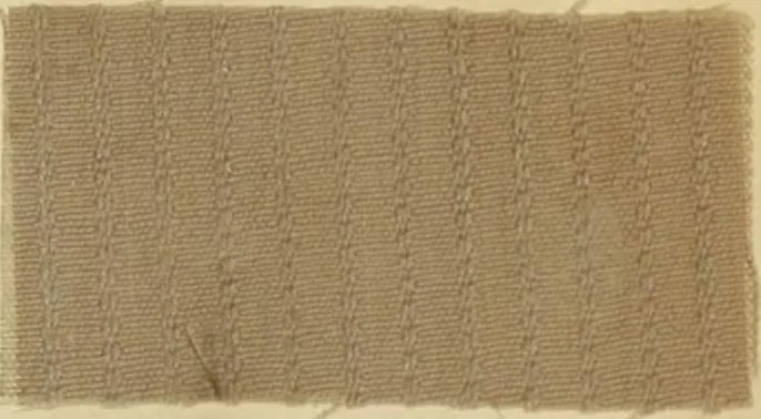 An illustration from The coal tar colours of Farbwerke vorm. Meister Lucius & Brüning, Hoechst on Main, Germany and their application in wool dyeing, 1910, leaf 176