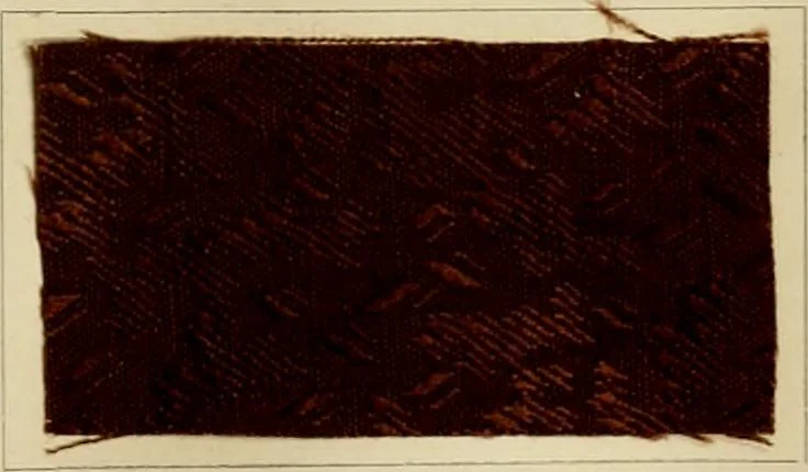 An illustration from The coal tar colours of Farbwerke vorm. Meister Lucius & Brüning, Hoechst on Main, Germany and their application in wool dyeing, 1910, leaf 188