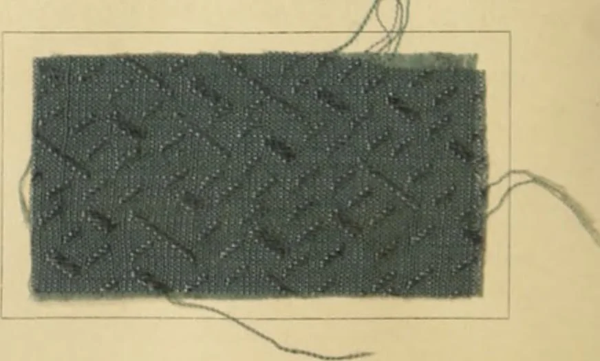 An illustration from The coal tar colours of Farbwerke vorm. Meister Lucius & Brüning, Hoechst on Main, Germany and their application in wool dyeing, 1910, leaf 189