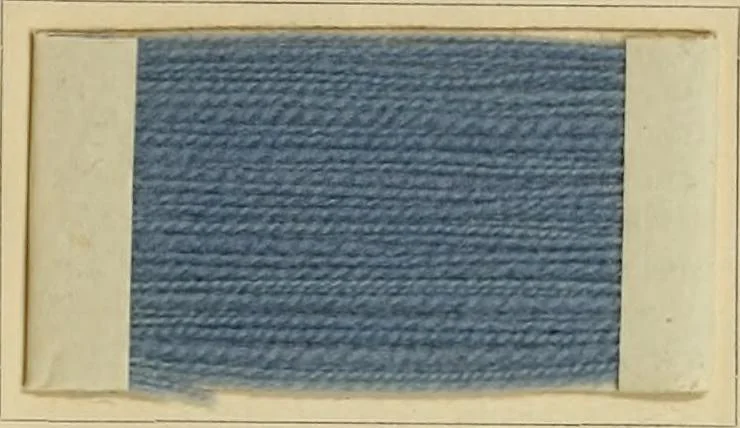 An illustration from The coal tar colours of Farbwerke vorm. Meister Lucius & Brüning, Hoechst on Main, Germany and their application in wool dyeing, 1910, leaf 22