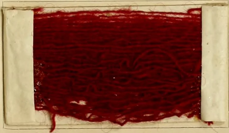 An illustration from The coal tar colours of Farbwerke vorm. Meister Lucius & Brüning, Hoechst on Main, Germany and their application in wool dyeing, 1910, leaf 36