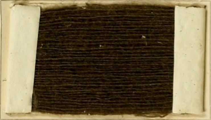An illustration from The coal tar colours of Farbwerke vorm. Meister Lucius & Brüning, Hoechst on Main, Germany and their application in wool dyeing, 1910, leaf 39