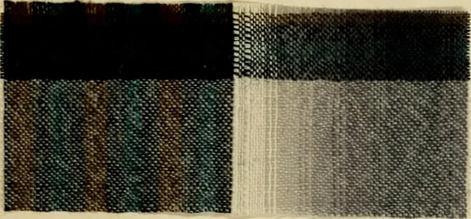 An illustration from The coal tar colours of Farbwerke vorm. Meister Lucius & Brüning, Hoechst on Main, Germany and their application in wool dyeing, 1910, leaf 42