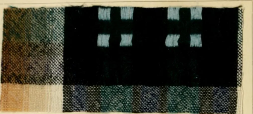 An illustration from The coal tar colours of Farbwerke vorm. Meister Lucius & Brüning, Hoechst on Main, Germany and their application in wool dyeing, 1910, leaf 43