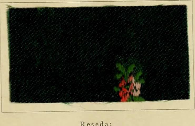 An illustration from The coal tar colours of Farbwerke vorm. Meister Lucius & Brüning, Hoechst on Main, Germany and their application in wool dyeing, 1910, leaf 50
