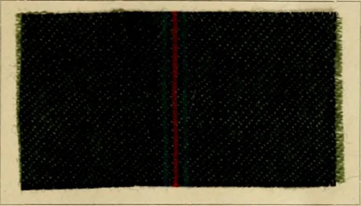 An illustration from The coal tar colours of Farbwerke vorm. Meister Lucius & Brüning, Hoechst on Main, Germany and their application in wool dyeing, 1910, leaf 52