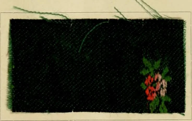 An illustration from The coal tar colours of Farbwerke vorm. Meister Lucius & Brüning, Hoechst on Main, Germany and their application in wool dyeing, 1910, leaf 52