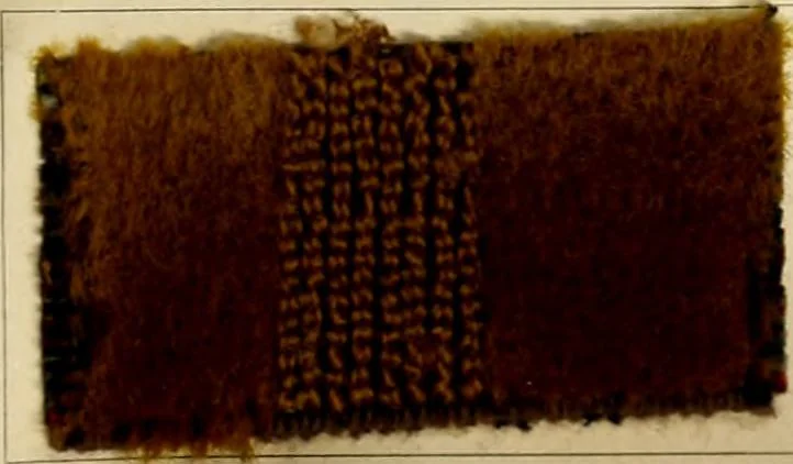 An illustration from The coal tar colours of Farbwerke vorm. Meister Lucius & Brüning, Hoechst on Main, Germany and their application in wool dyeing, 1910, leaf 56