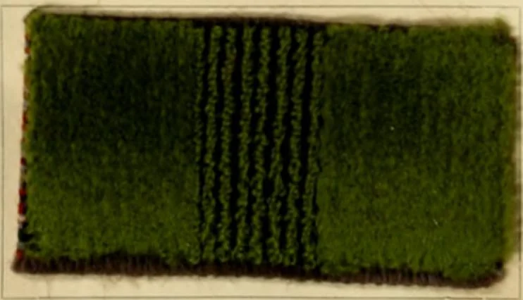 An illustration from The coal tar colours of Farbwerke vorm. Meister Lucius & Brüning, Hoechst on Main, Germany and their application in wool dyeing, 1910, leaf 57