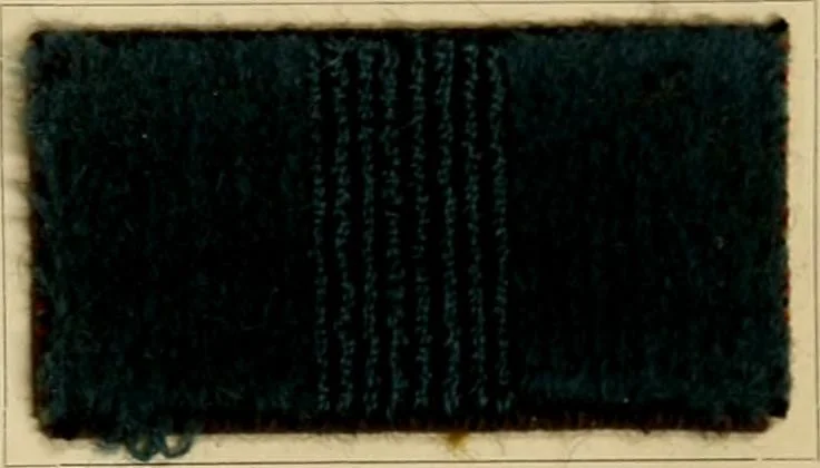 An illustration from The coal tar colours of Farbwerke vorm. Meister Lucius & Brüning, Hoechst on Main, Germany and their application in wool dyeing, 1910, leaf 58