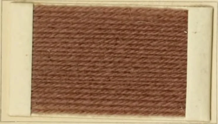 An illustration from The coal tar colours of Farbwerke vorm. Meister Lucius & Brüning, Hoechst on Main, Germany and their application in wool dyeing, 1910, leaf 63
