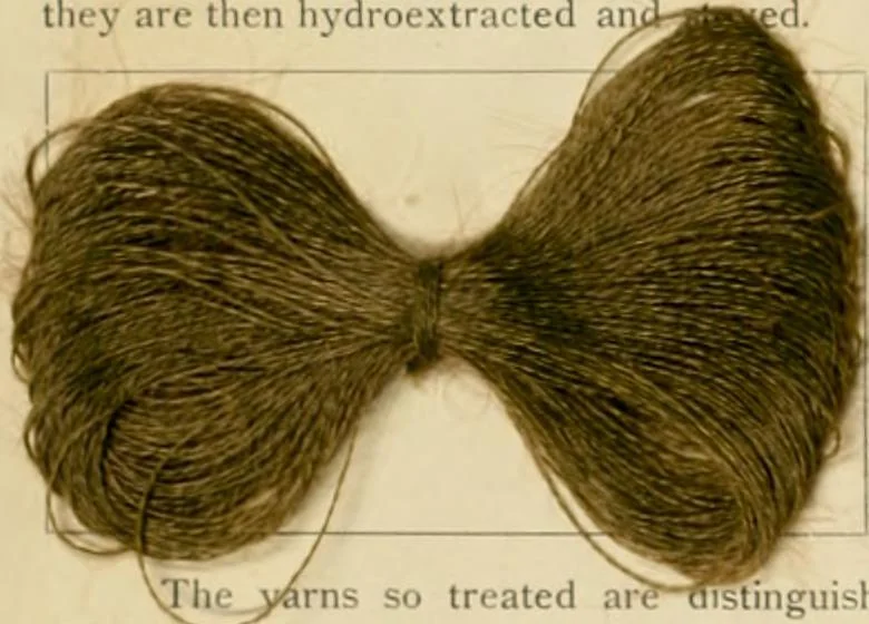 An illustration from The coal tar colours of Farbwerke vorm. Meister Lucius & Brüning, Hoechst on Main, Germany and their application in wool dyeing, 1910, leaf 69