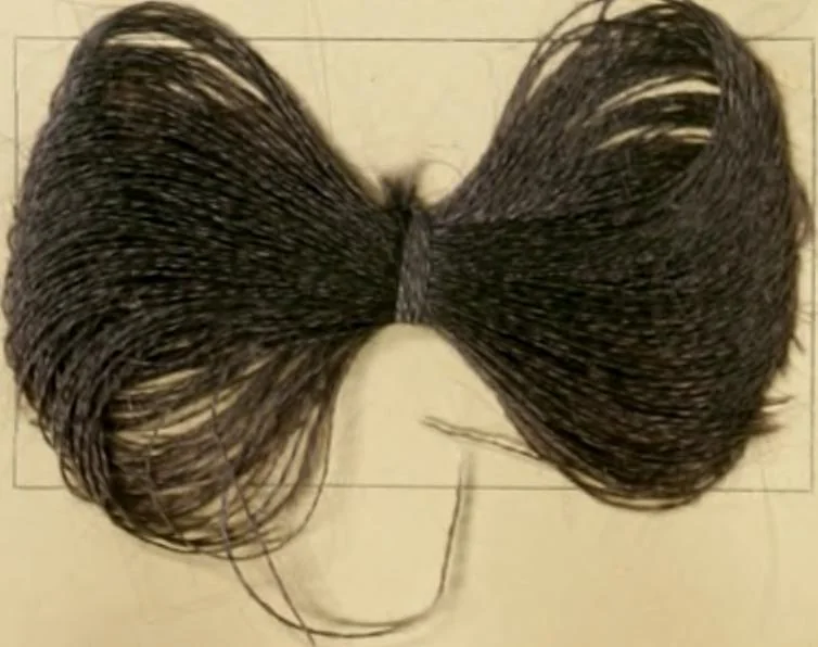 An illustration from The coal tar colours of Farbwerke vorm. Meister Lucius & Brüning, Hoechst on Main, Germany and their application in wool dyeing, 1910, leaf 69