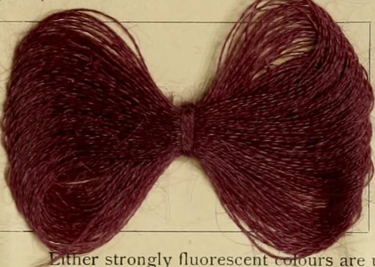 An illustration from The coal tar colours of Farbwerke vorm. Meister Lucius & Brüning, Hoechst on Main, Germany and their application in wool dyeing, 1910, leaf 70