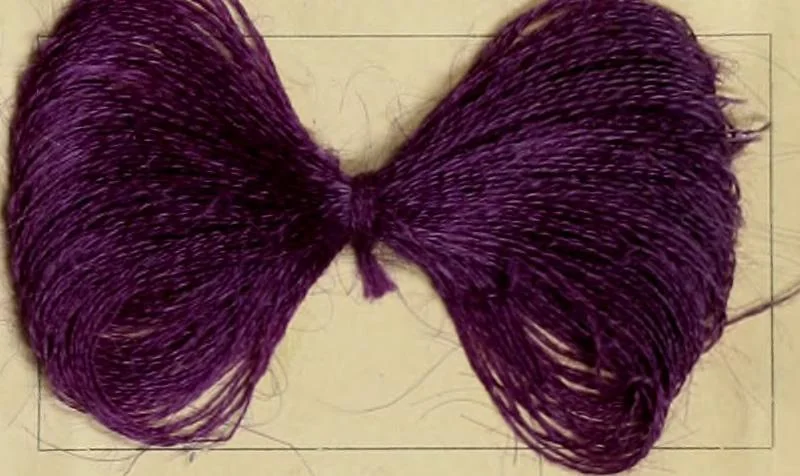 An illustration from The coal tar colours of Farbwerke vorm. Meister Lucius & Brüning, Hoechst on Main, Germany and their application in wool dyeing, 1910, leaf 70