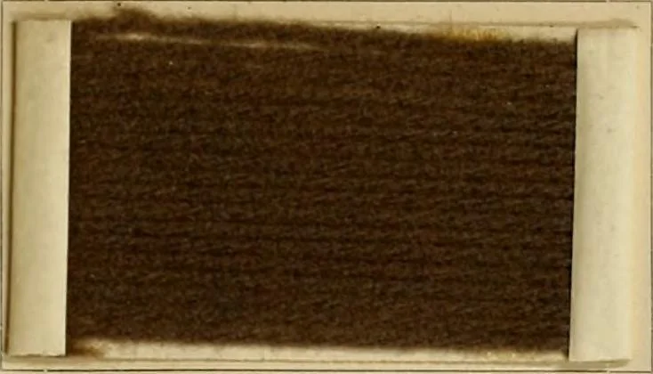 An illustration from The coal tar colours of Farbwerke vorm. Meister Lucius & Brüning, Hoechst on Main, Germany and their application in wool dyeing, 1910, leaf 76