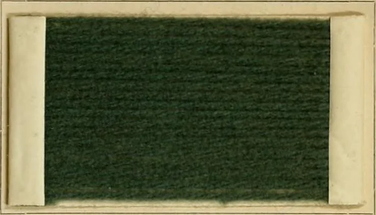 An illustration from The coal tar colours of Farbwerke vorm. Meister Lucius & Brüning, Hoechst on Main, Germany and their application in wool dyeing, 1910, leaf 76