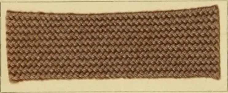 An illustration from The coal tar colours of Farbwerke vorm. Meister Lucius & Brüning, Hoechst on Main, Germany and their application in wool dyeing, 1910, leaf 85