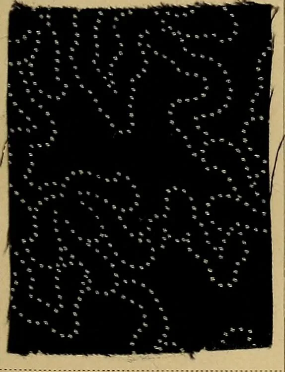 An illustration from The coal tar colours of Farbwerke vorm. Meister, Lucius & Brüning, Hoechst on Main, Germany, applied in calico printing, 1908, leaf 124