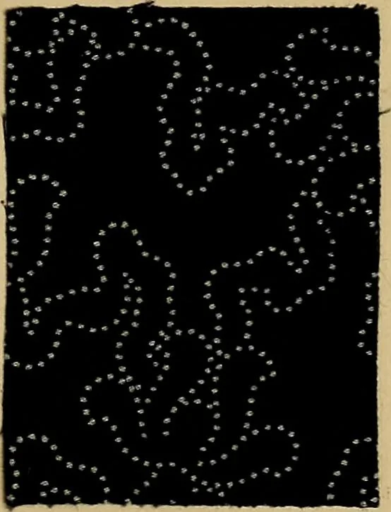 An illustration from The coal tar colours of Farbwerke vorm. Meister, Lucius & Brüning, Hoechst on Main, Germany, applied in calico printing, 1908, leaf 124