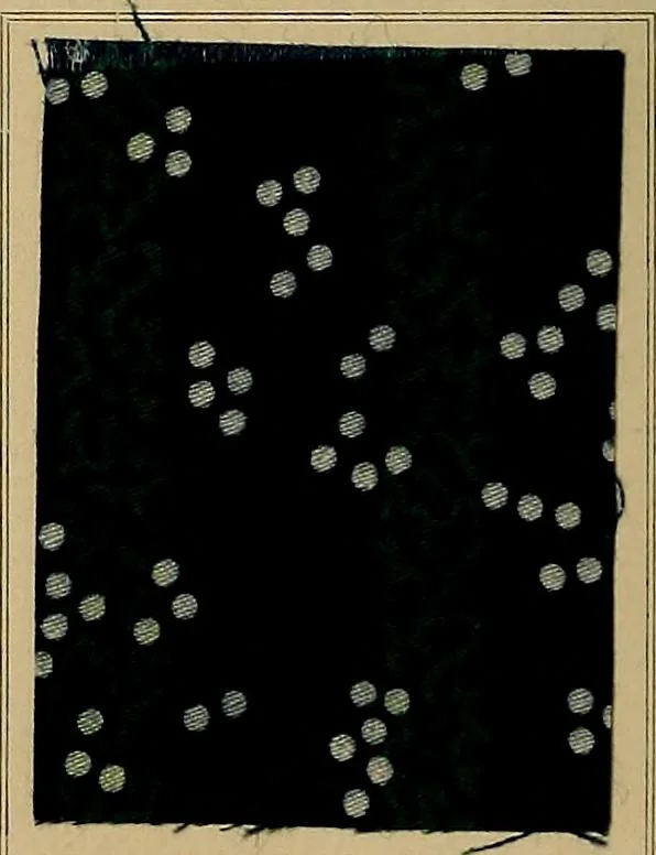 An illustration from The coal tar colours of Farbwerke vorm. Meister, Lucius & Brüning, Hoechst on Main, Germany, applied in calico printing, 1908, leaf 131