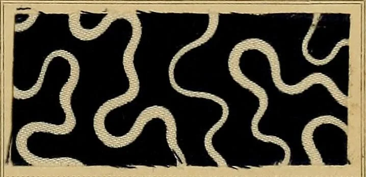 An illustration from The coal tar colours of Farbwerke vorm. Meister, Lucius & Brüning, Hoechst on Main, Germany, applied in calico printing, 1908, leaf 152