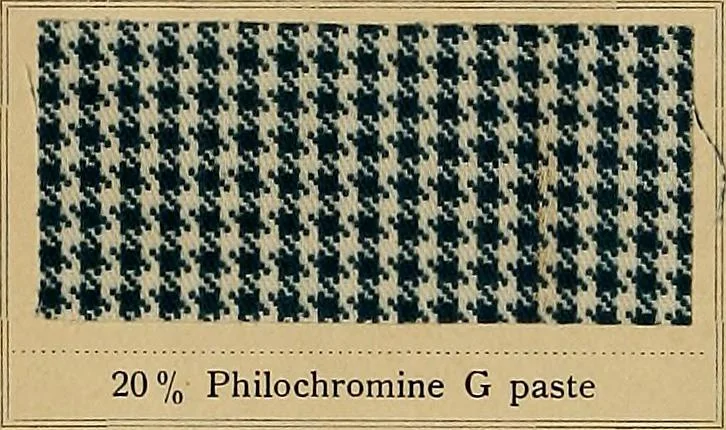 An illustration from The coal tar colours of Farbwerke vorm. Meister, Lucius & Brüning, Hoechst on Main, Germany, applied in calico printing, 1908, leaf 155