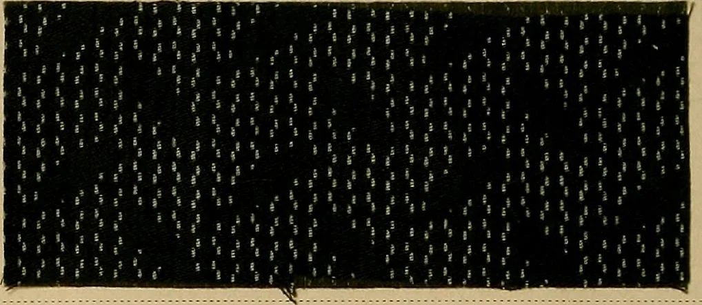 An illustration from The coal tar colours of Farbwerke vorm. Meister, Lucius & Brüning, Hoechst on Main, Germany, applied in calico printing, 1908, leaf 177