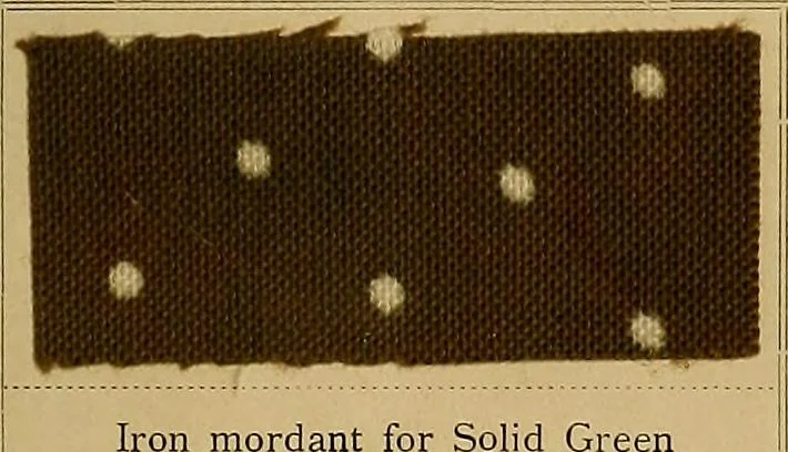 An illustration from The coal tar colours of Farbwerke vorm. Meister, Lucius & Brüning, Hoechst on Main, Germany, applied in calico printing, 1908, leaf 178