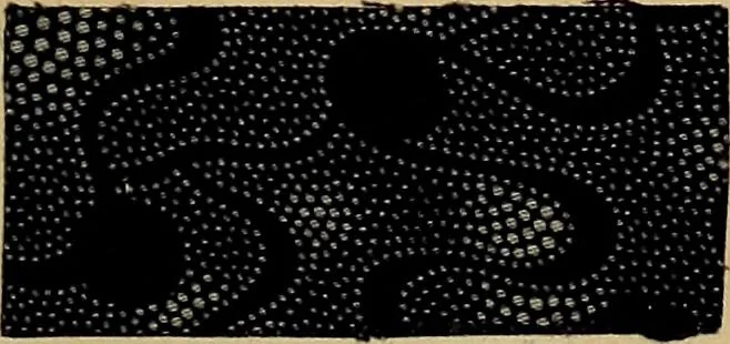 An illustration from The coal tar colours of Farbwerke vorm. Meister, Lucius & Brüning, Hoechst on Main, Germany, applied in calico printing, 1908, leaf 180
