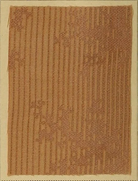 An illustration from The coal tar colours of Farbwerke vorm. Meister, Lucius & Brüning, Hoechst on Main, Germany, applied in calico printing, 1908, leaf 213