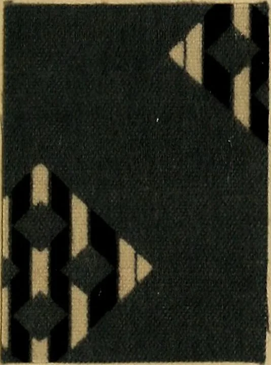 An illustration from The coal tar colours of Farbwerke vorm. Meister, Lucius & Brüning, Hoechst on Main, Germany, applied in calico printing, 1908, leaf 216